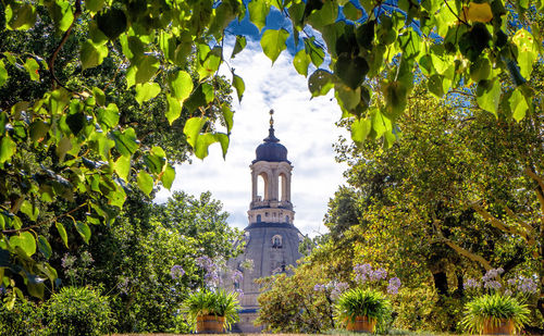 Low angle view of trees and building against sky