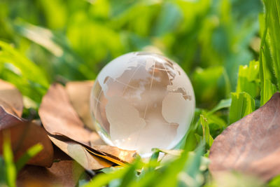 Close-up of crystal globe on grass