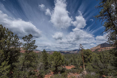 Scenic view of landscape against cloudy sky