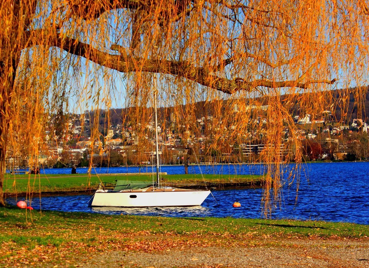 tree, water, nature, tranquility, autumn, day, built structure, growth, lake, beauty in nature, grass, outdoors, park - man made space, multi colored, tranquil scene, architecture, no people, blue, reflection, tree trunk