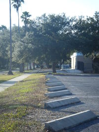 Footpath along trees