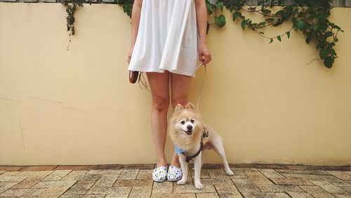 Low section of woman with dog standing on footpath against wall