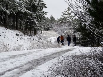 People walking on snow covered trees against sky