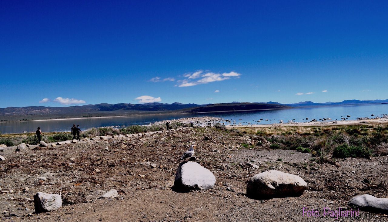 VIEW OF CALM BLUE SEA AGAINST SKY