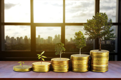 Stack of potted plants on table