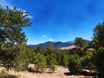 Scenic view of landscape against blue sky