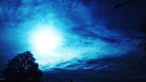 Low angle view of trees against sky at night