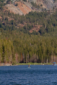 Paddle boarding in lake mary in mammoth lakes ca