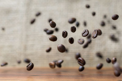Close-up of coffee beans