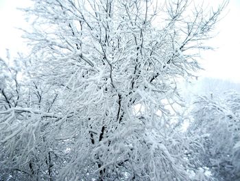 Scenic view of snow covered landscape