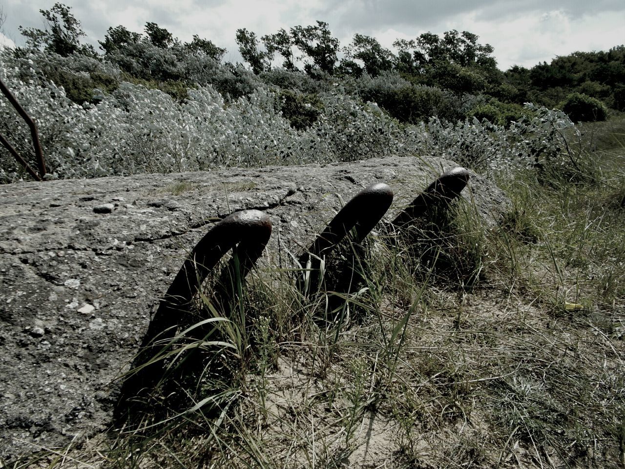 field, grass, abandoned, plant, tree, tranquility, damaged, nature, growth, day, sky, obsolete, outdoors, no people, broken, sand, landscape, tranquil scene, sunlight, non-urban scene