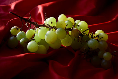 Close-up of grapes