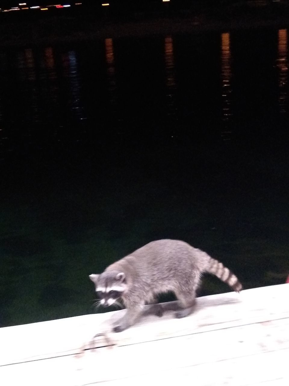 SIDE VIEW OF BABY LOOKING AT LAKE