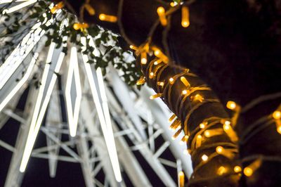 Close-up of tree at night