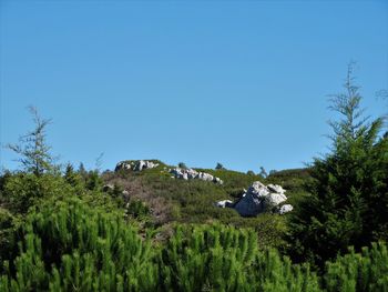 Scenic view of landscape against clear blue sky