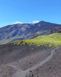 Scenic view of landscape against clear blue sky