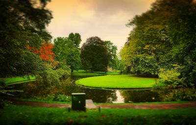 Pond in park