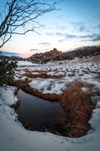 Snow covered land and trees against sky