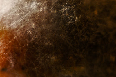 Full frame shot of white background