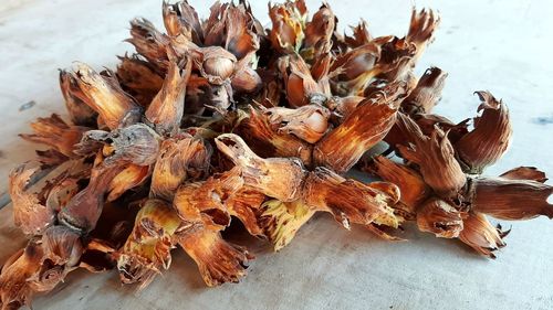 High angle view of dry flowers on table