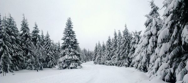 Scenic view of snow covered landscape