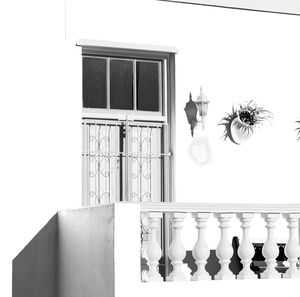 Close-up of white flowers against wall