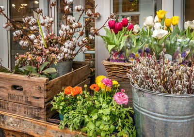 Flowers in pot for sale