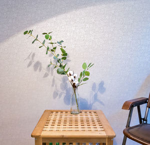 Potted plant on table against wall