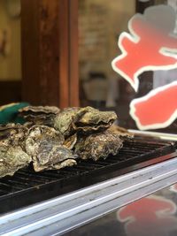 Close-up of crab on glass window