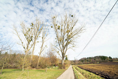 Road amidst field against sky