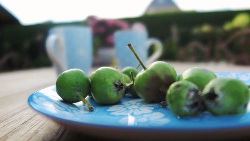 Close-up of fruits in plate on table