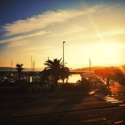 Silhouette palm trees by road against sky during sunset in city