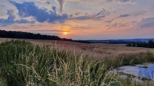 Scenic view of field against sky during sunset