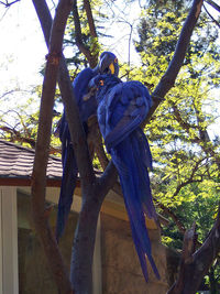 Low angle view of bird perching on tree against sky
