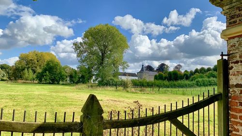 Panoramic shot of trees on field against sky