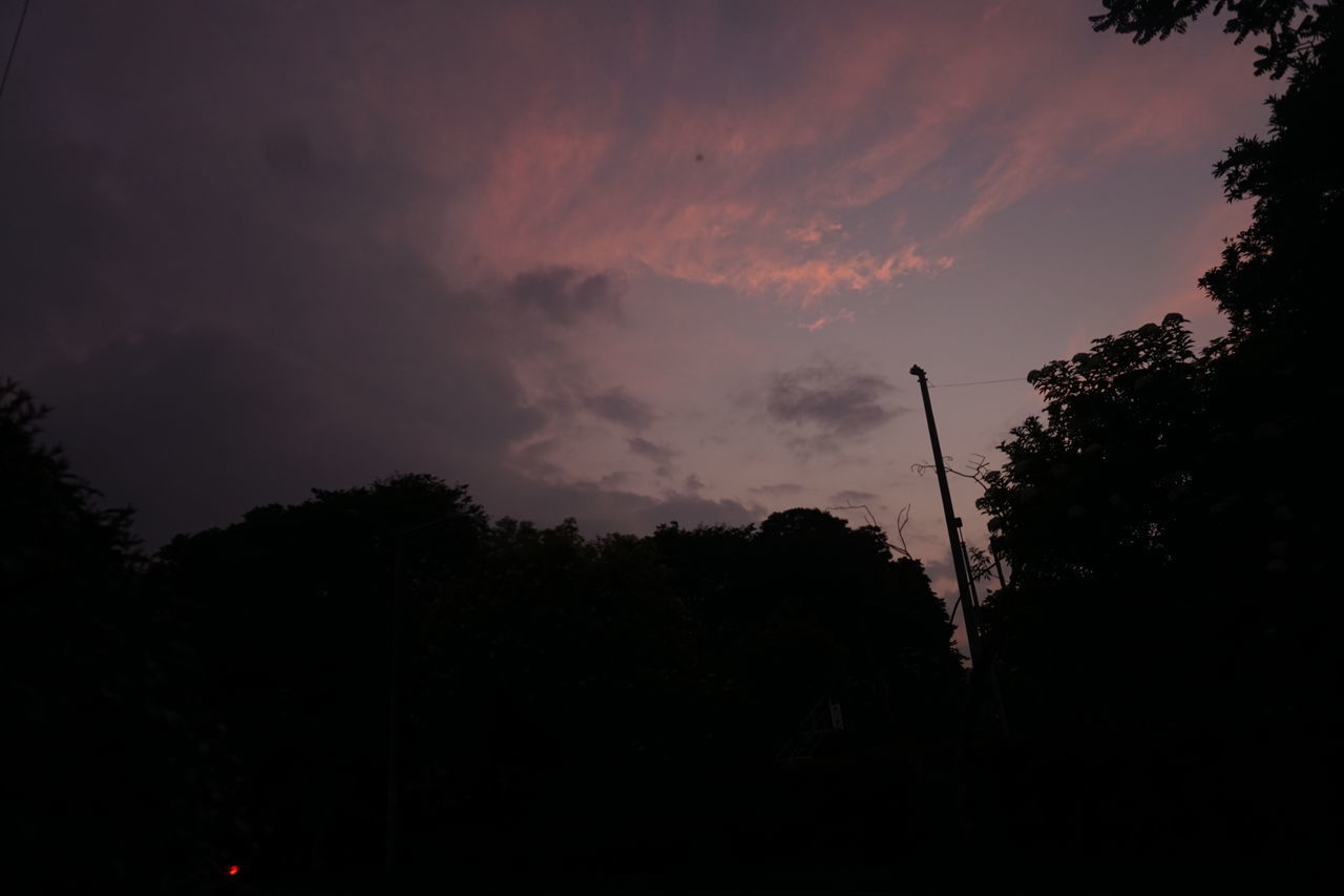 LOW ANGLE VIEW OF SILHOUETTE TREES AGAINST SKY AT DUSK