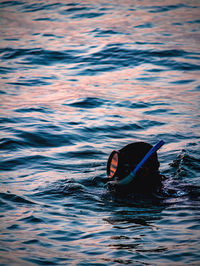 Person swimming in a sea