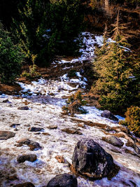 Stream flowing through rocks in forest