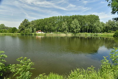 Scenic view of lake by trees against sky