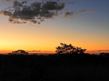 Silhouette trees on field against sky at sunset