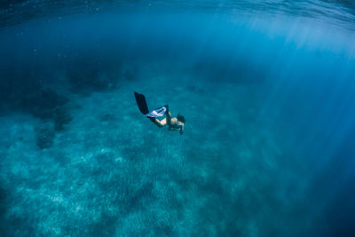 High angle view of man swimming in sea