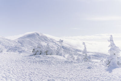 Scenic view of snow covered field against sky
