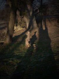 Full frame shot of cat on shadow