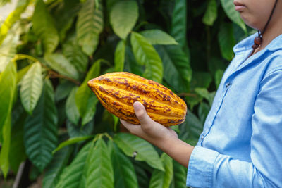 Midsection of man holding cacao fruit against plants