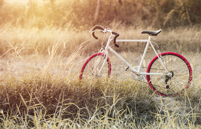 Bicycle parked on field