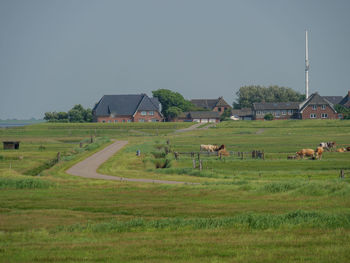 Hallig hooge in the north sea