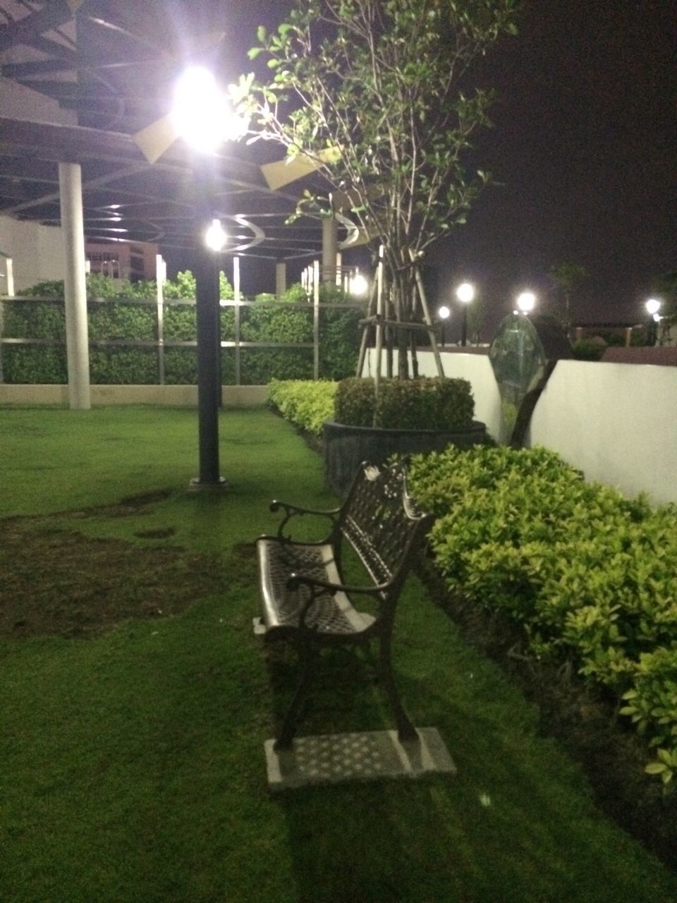 grass, lighting equipment, lawn, green color, tree, street light, absence, sunlight, built structure, illuminated, plant, empty, growth, architecture, front or back yard, chair, night, park - man made space, bench, no people