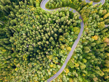 Winding road from high mountain pass, in summer time. aerial view by drone. romania