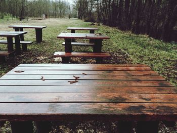 Wooden structure in the forest