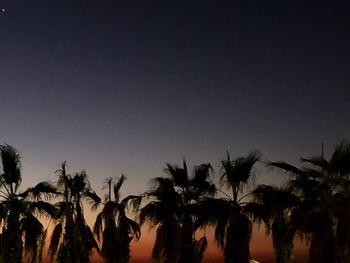 Low angle view of silhouette palm trees against sky at sunset